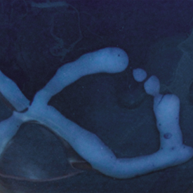 couleurs printemps 2013