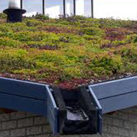 vegetalisation toiture